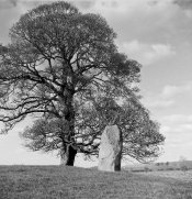 rodinal foma 02.jpg