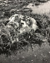 8B067FF4-CBDA-4D2C-8F57-4F93B03307D2.jpeg