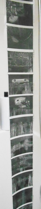 DSCN0737.JPG