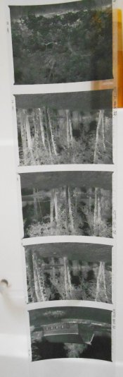 DSCN0739.JPG