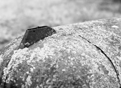 img03small.jpg