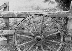 img04small.jpg