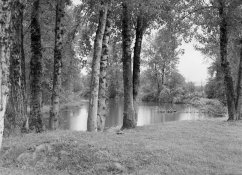 img07small.jpg
