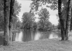 img10small.jpg