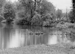 img11small.jpg