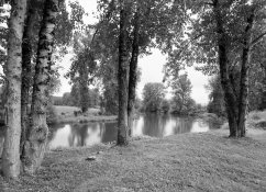 img15small.jpg