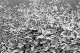 img06small.jpg