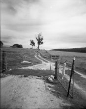08 05 21 hp5 in d76907.jpg