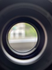 IMG_1205.JPG