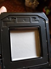 199779538_2957746327827525_5769238786786802140_n.jpg