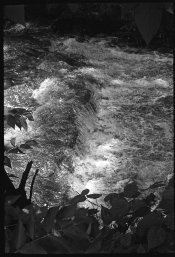 _stream_hc110.jpg