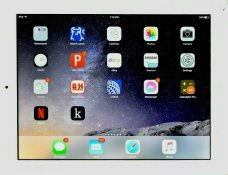 Apple.jpg Apple.jpg