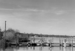 Dock.jpg