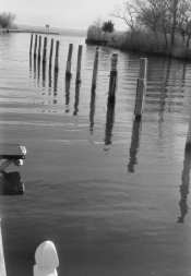 West Marina.jpg