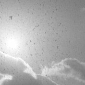 fomapant200_rodinal_111202_004_crop.jpg