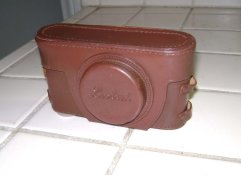 leo-case-1.jpg