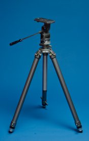 DSC_7381.jpg