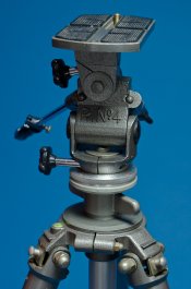 DSC_7386.jpg