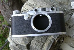 iiia-1.jpg