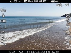 NOT a nikon F view finder.jpg