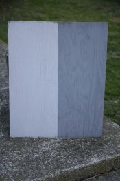 two-tone-target.jpg two-tone-target.jpg