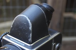 DSC_0006.jpg