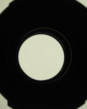 Hass150_02.JPG