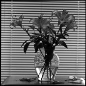 008-Eskofot-Ultragon f8-210-2.jpg