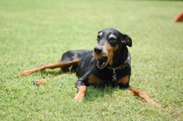 DSC_0008_WebSize - D70 50mm 1.8G.jpg