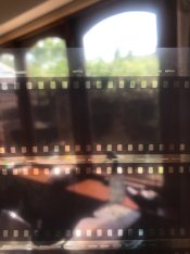 image3.jpeg