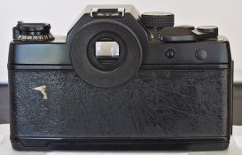 _7060004 crop web.jpg