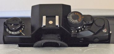 _7060005 crop web.jpg