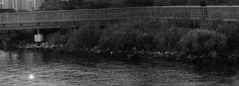 Capture0021-2.jpg