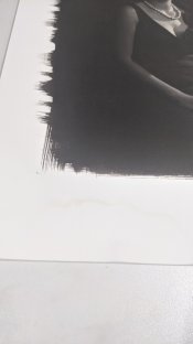 PXL_20210810_034051774.jpg