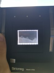IMG_20210815_142313.jpg