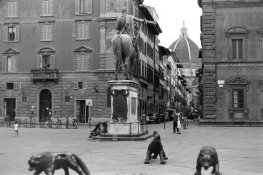 p30-firenze.jpg