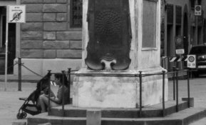 p30-firenze-detail.jpg