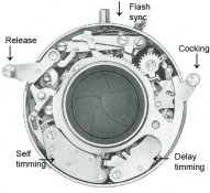 CN-1110-000.jpeg