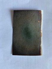 Burnt-1.JPG