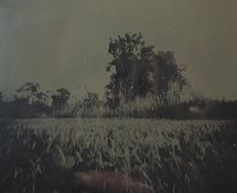 20211010_183911.jpg