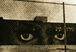 Zuili The Eyes.jpg