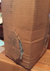 UPS_bashed_Faucet 2.jpg