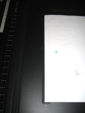 kostiner 3.jpg