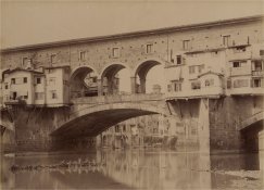 Image5.jpg