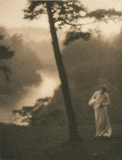 white013.jpg