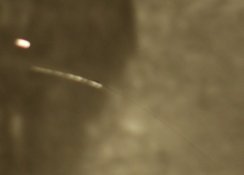 whatisit03.jpg