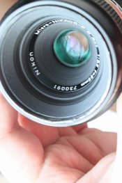 IMG_3776 (Large).JPG
