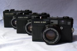 August12011003.jpg