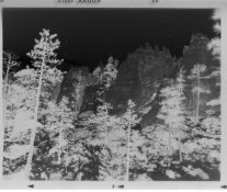 Tri X 400 EI64_004.jpg