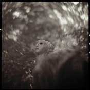 swirl01.jpg